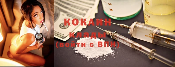 шишки Курчалой