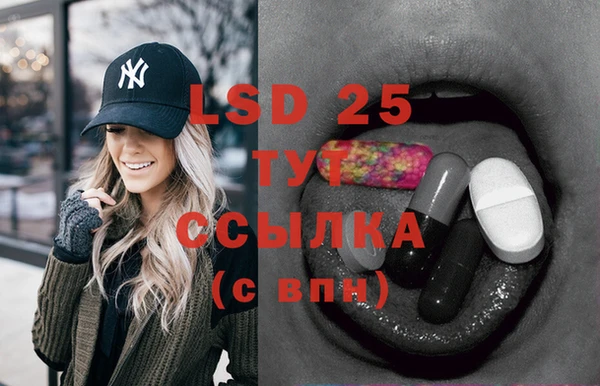 PSILOCYBIN Верея