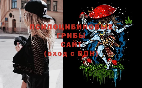 PSILOCYBIN Верея