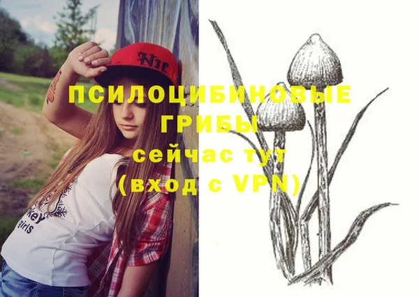spice Тында