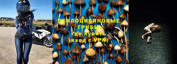 индика Туринск