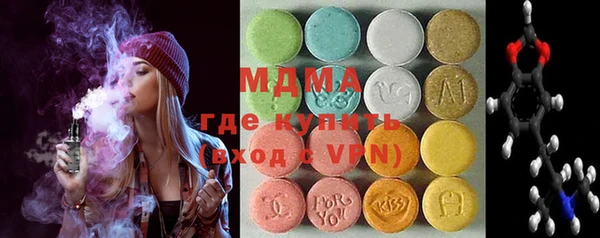 индика Туринск