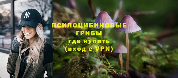 PSILOCYBIN Верея