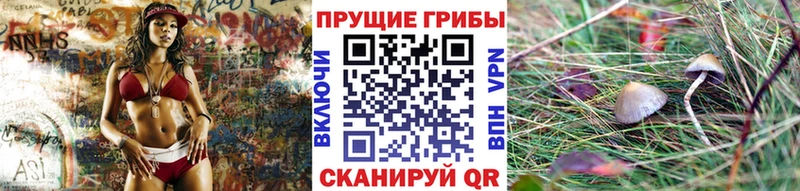 Псилоцибиновые грибы Psilocybine cubensis  где купить наркоту  Семёнов 