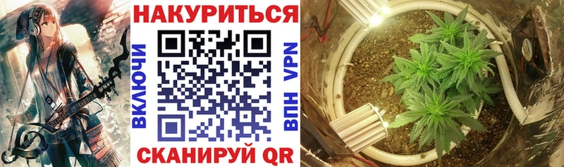 Бошки марихуана гибрид  как найти закладки  Семёнов 